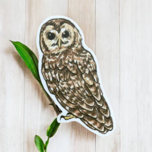 Anagram Press- Northern Spotted Owl Sticker