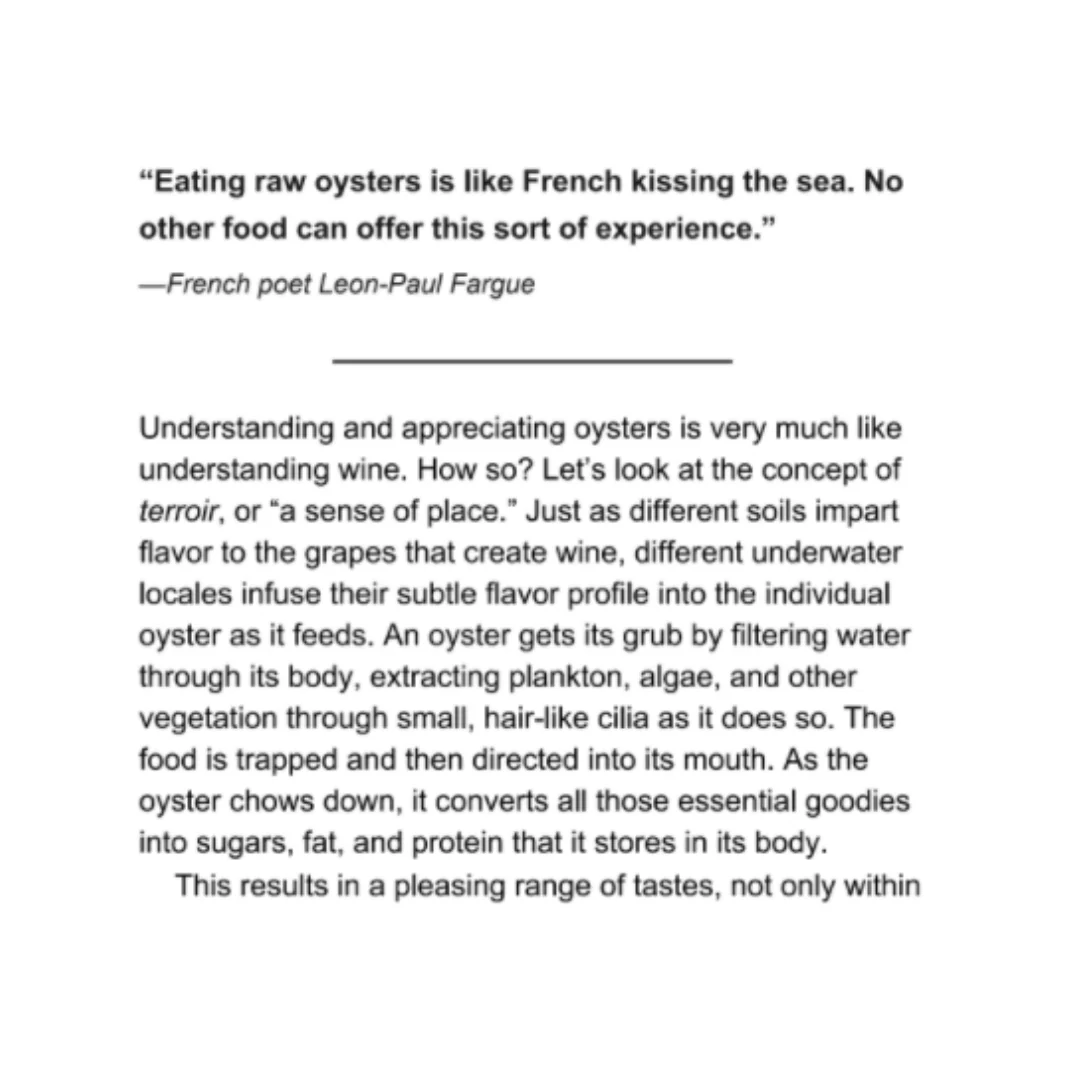 Appreciating Oysters - Image 3