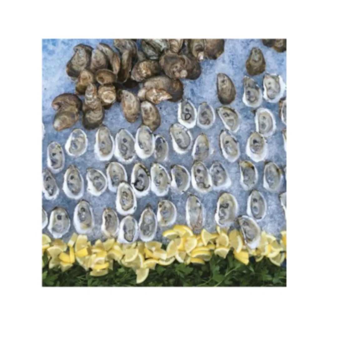 Appreciating Oysters - Image 5