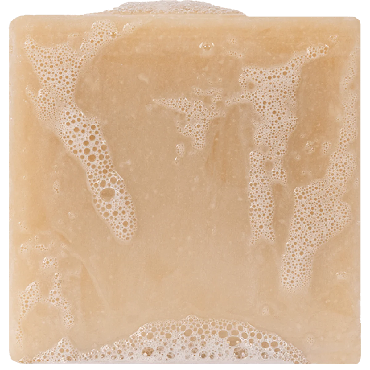 Dr. Squatch Bar Soap - Bay Rum - Image 3