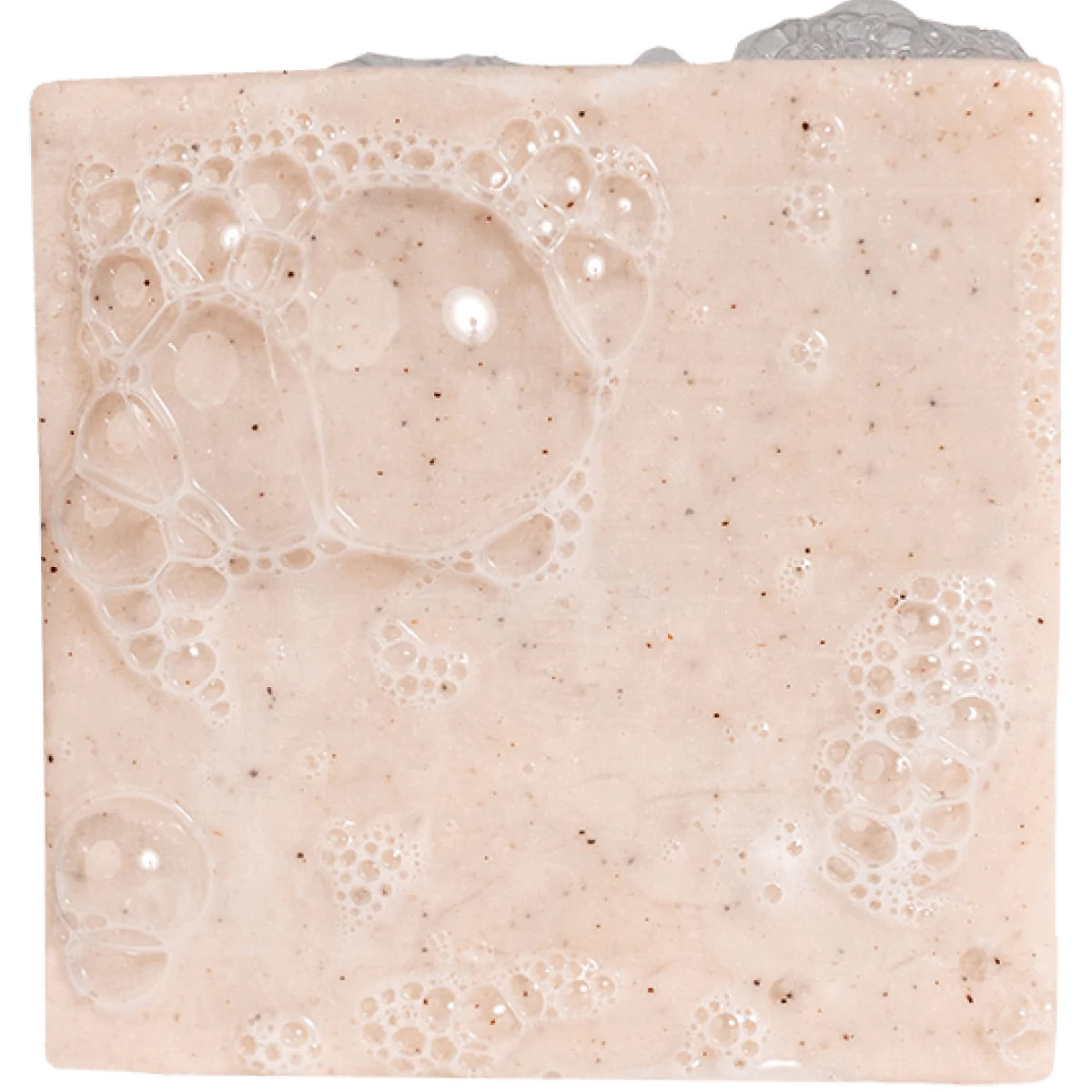 Dr. Squatch Bar Soap - Birchwood Breeze - Image 5