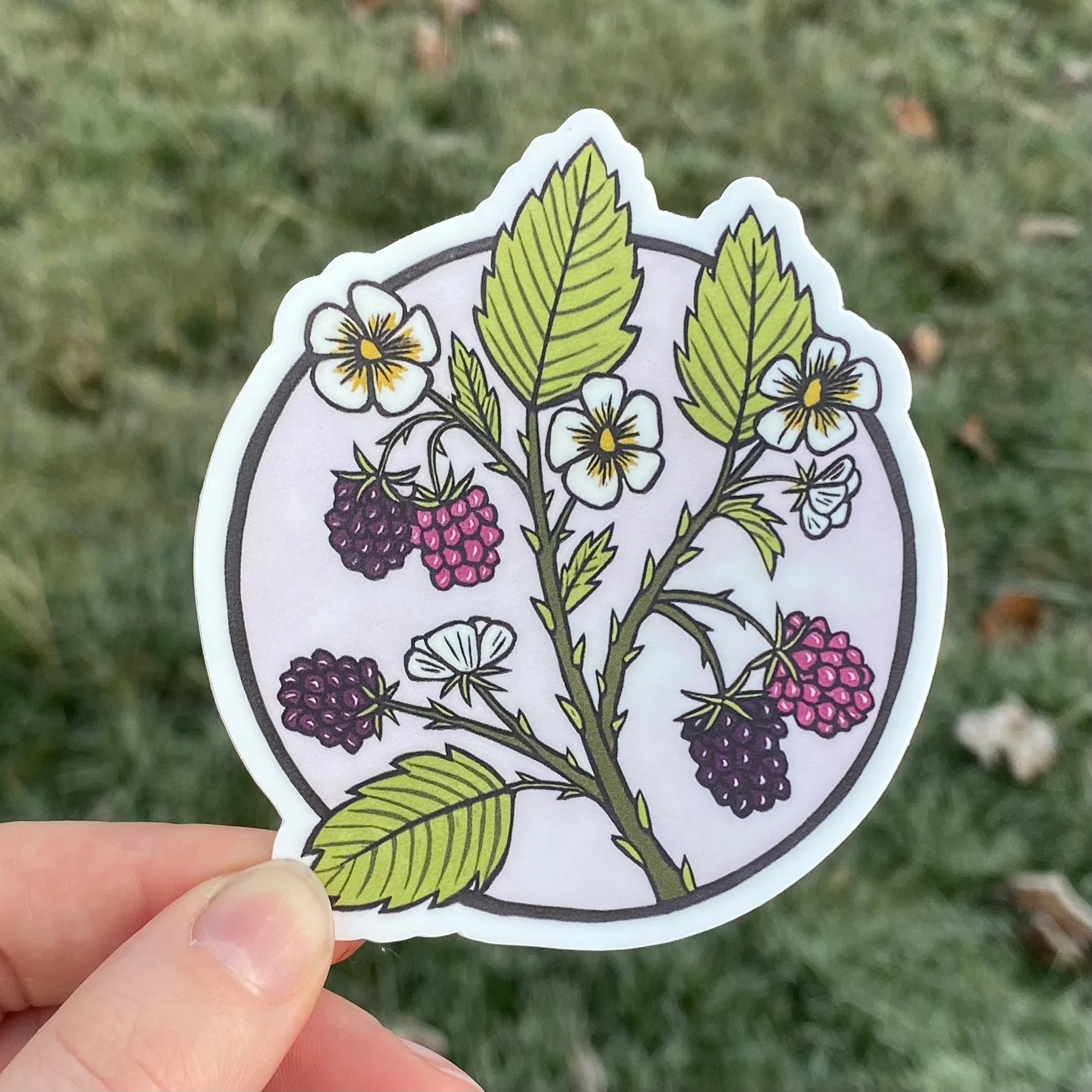 Blackberry Vine Vinyl Sticker - Image 2