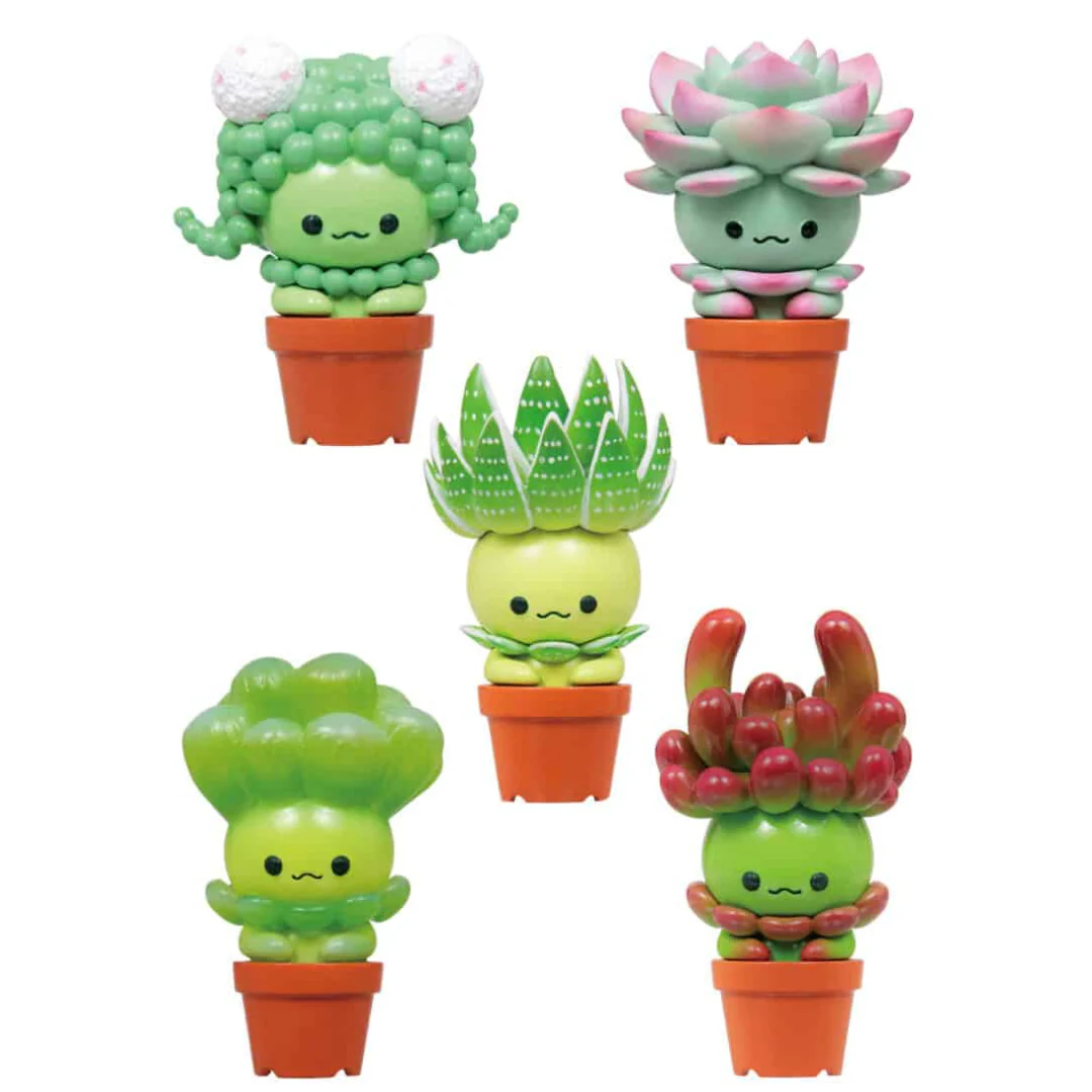Succulent Friends Blind Box - Image 2