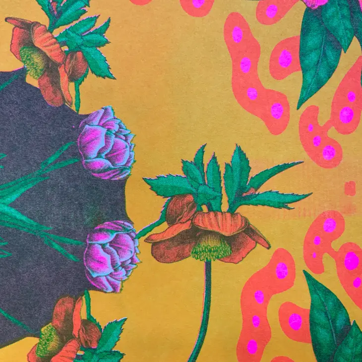 Botanical Print - Image 4