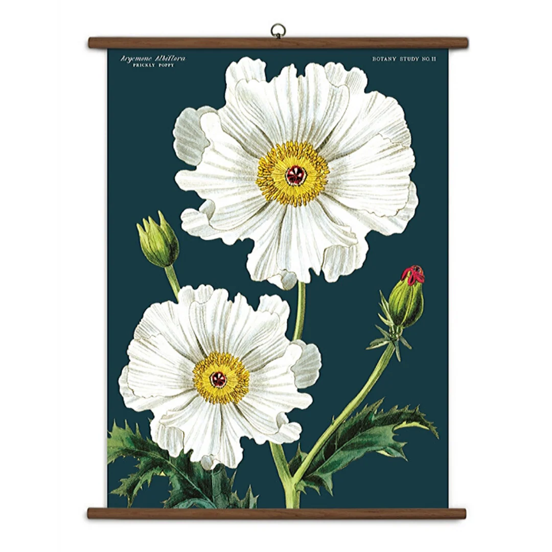 Cavallini & Co. Vintage School Chart - Botany