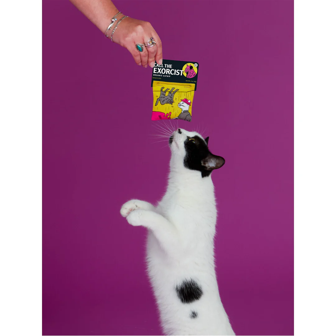Call The Exorcist Catnip Toy - Image 3