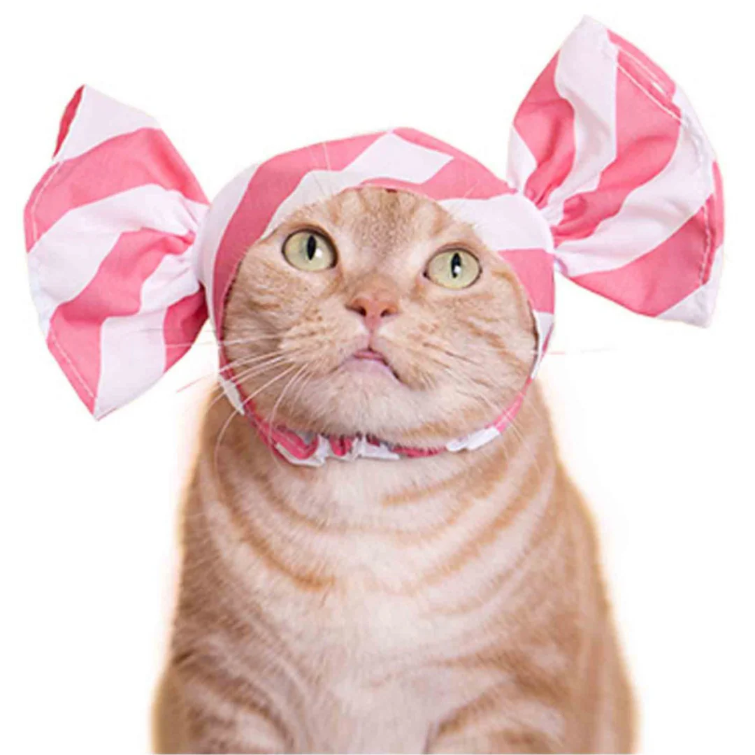 Cat Cap Candy - Image 2