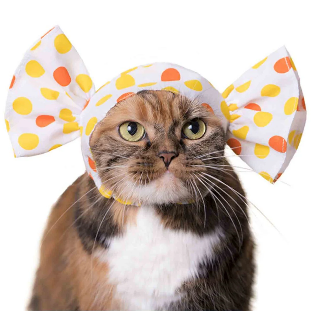 Cat Cap Candy - Image 6