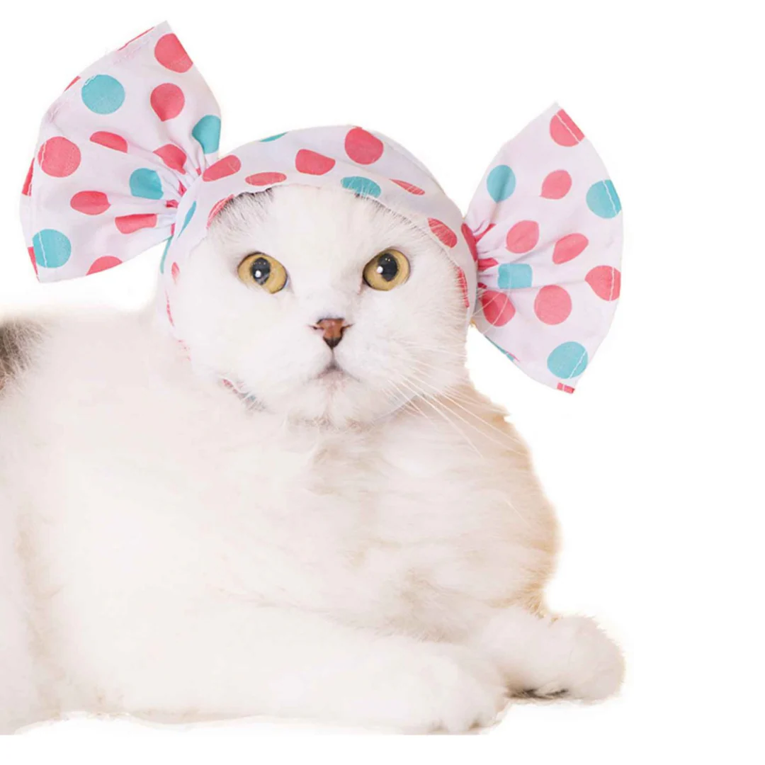 Cat Cap Candy - Image 7