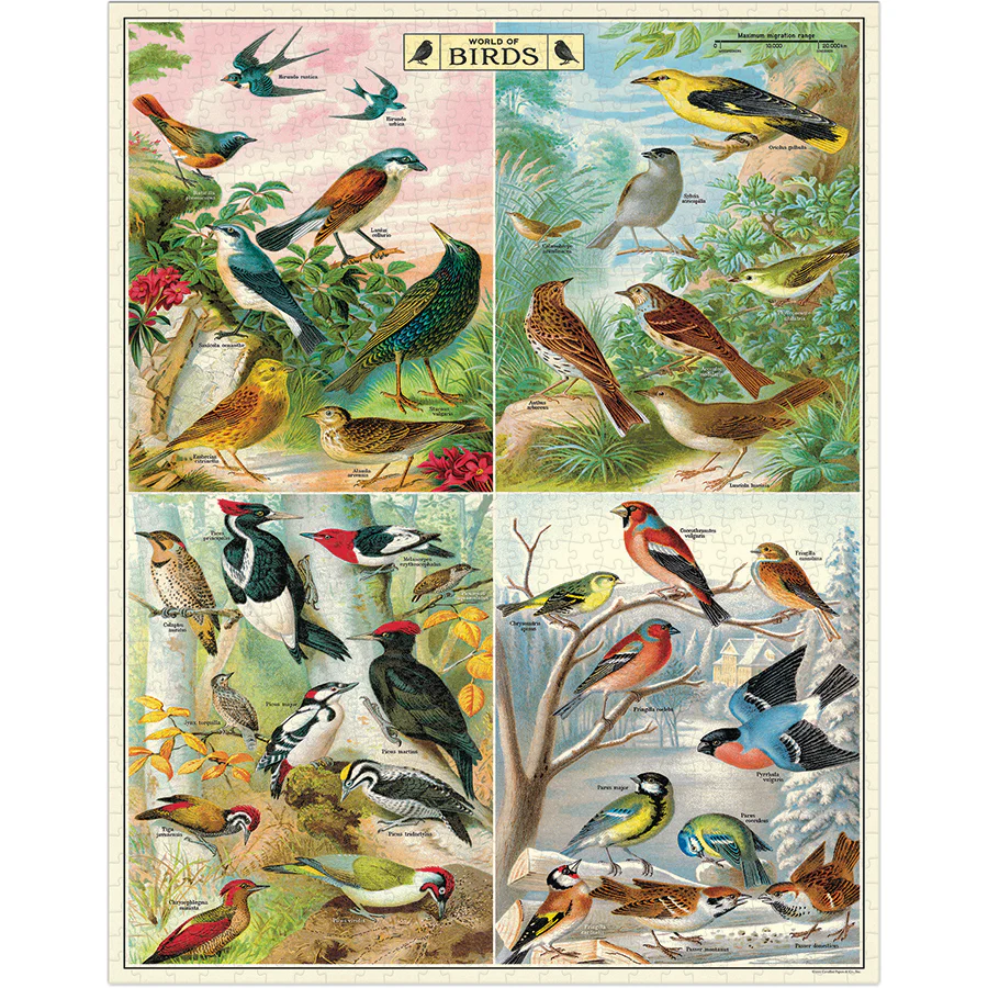 *Coming Soon Spring 2026* Cavallini & Co. 1000 Piece Puzzle - World of Birds - Image 2