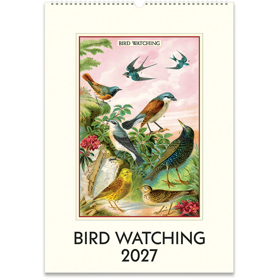 Cavallini & Co. 2027 Wall Calendar - Bird Watching