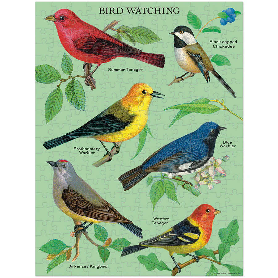 *Coming Soon Spring 2026* Cavallini & Co. 240 Piece Mini Puzzle - Bird Watching - Image 2