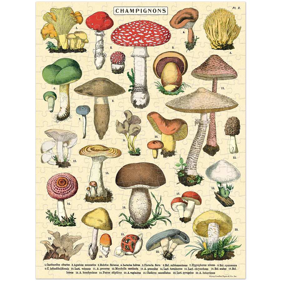 Cavallini & Co. 240 Piece Mini Puzzle -Mushrooms - Image 3