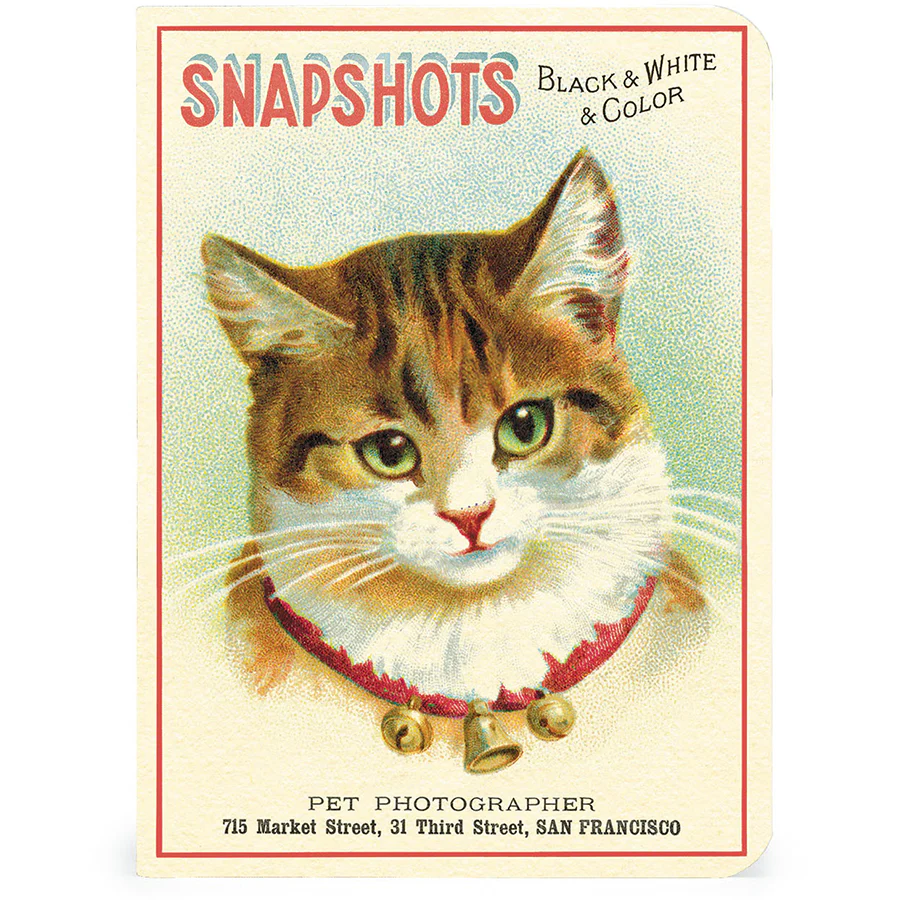 Cavallini & Co. 3 Mini Notebooks - Cats - Image 4
