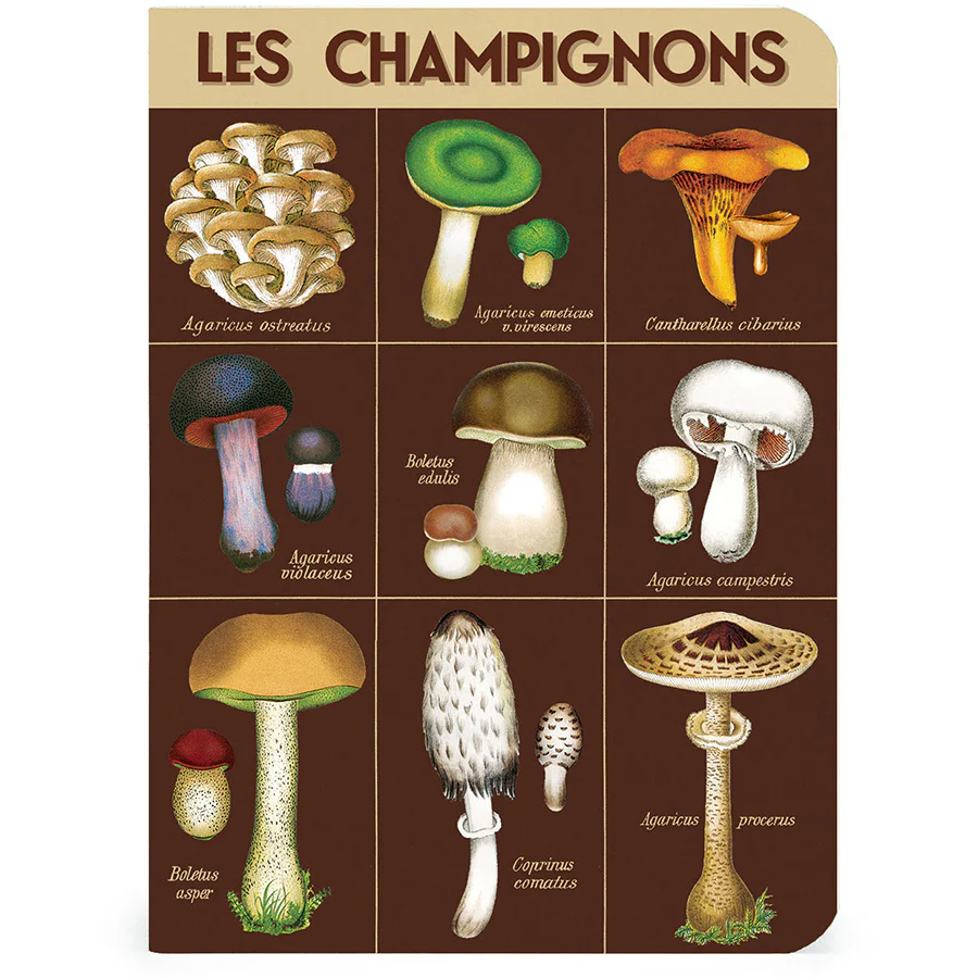 Cavallini & Co. 3 Mini Notebooks - Forage - Image 3