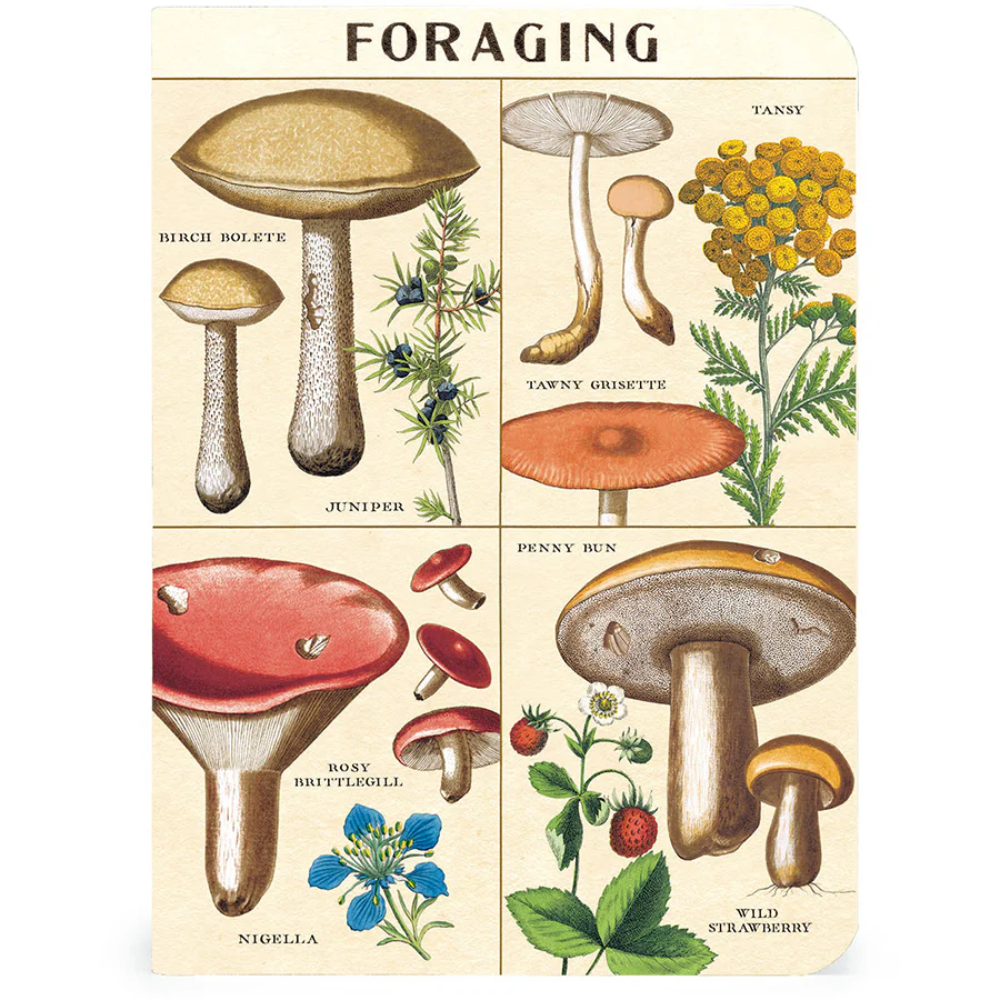 Cavallini & Co. 3 Mini Notebooks - Forage - Image 4