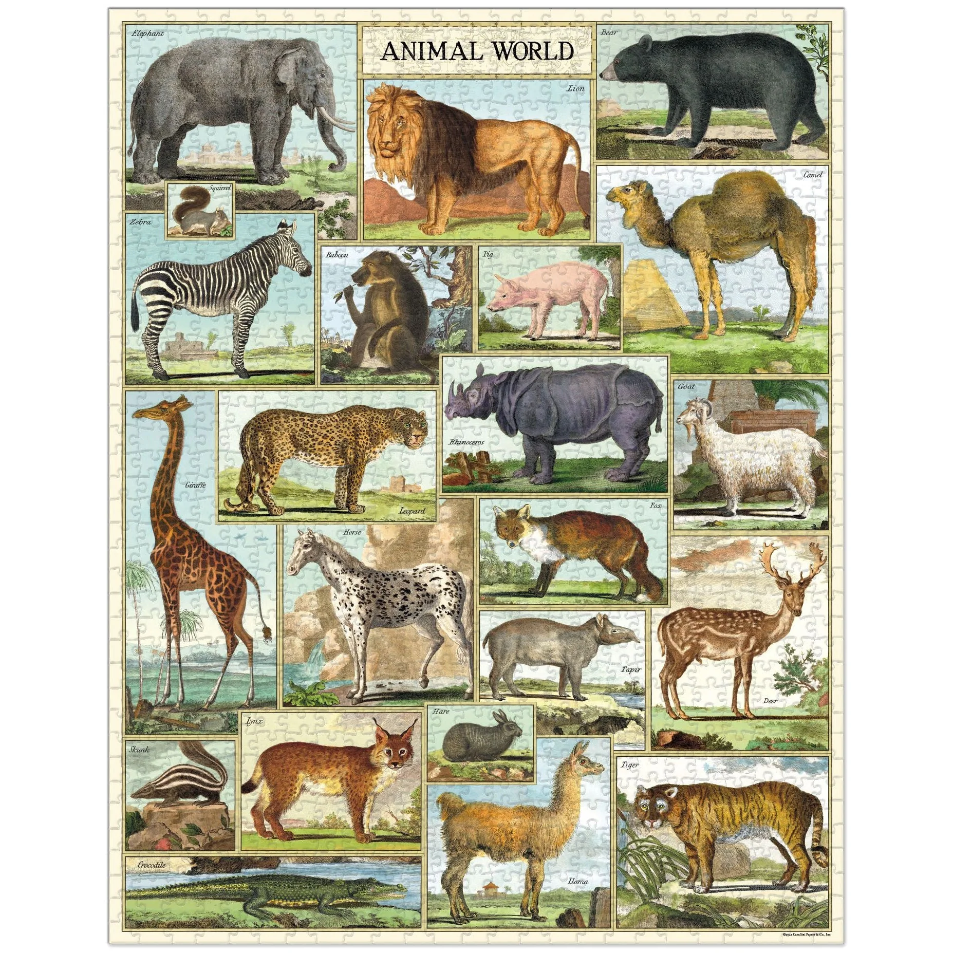 Cavallini & Co. 1000 Piece Puzzle - Animal World - Image 2