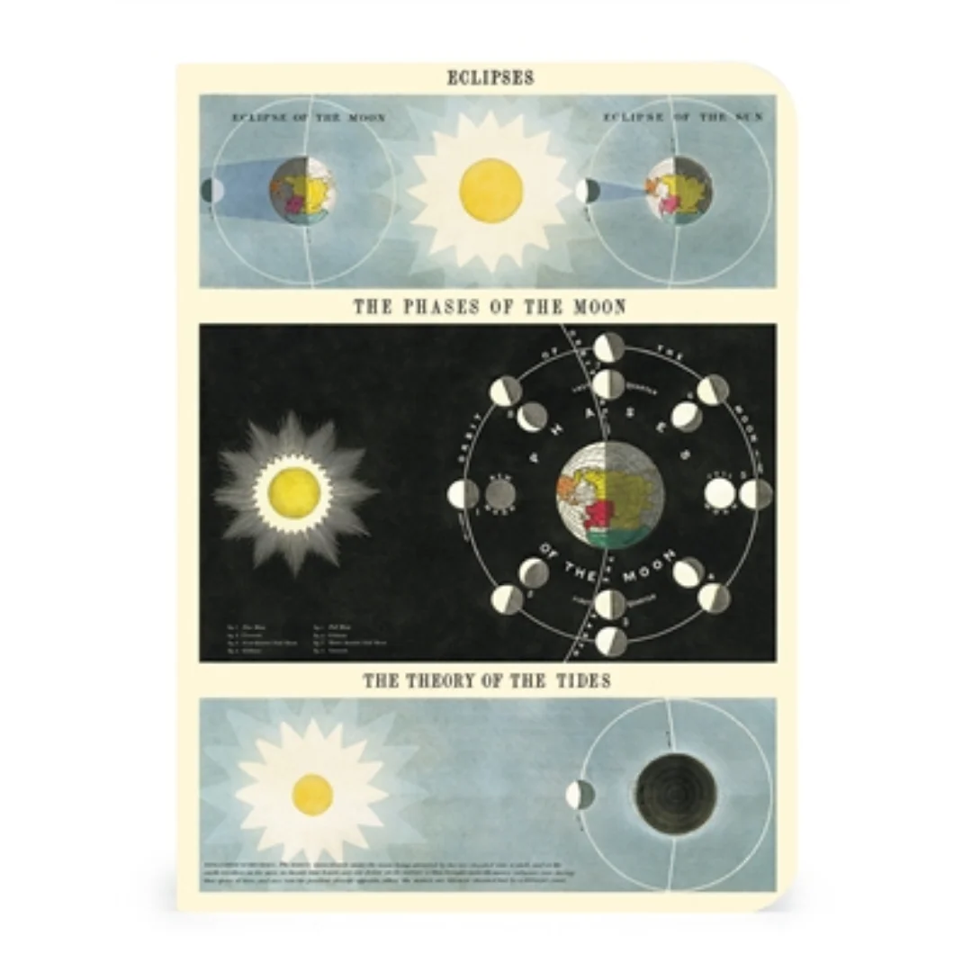 Cavallini & Co. 3 Mini Notebooks - Celestial - Image 3