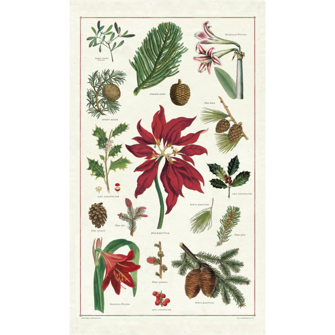 Cavallini & Co. Tea Towel - Christmas Botanica - Image 3