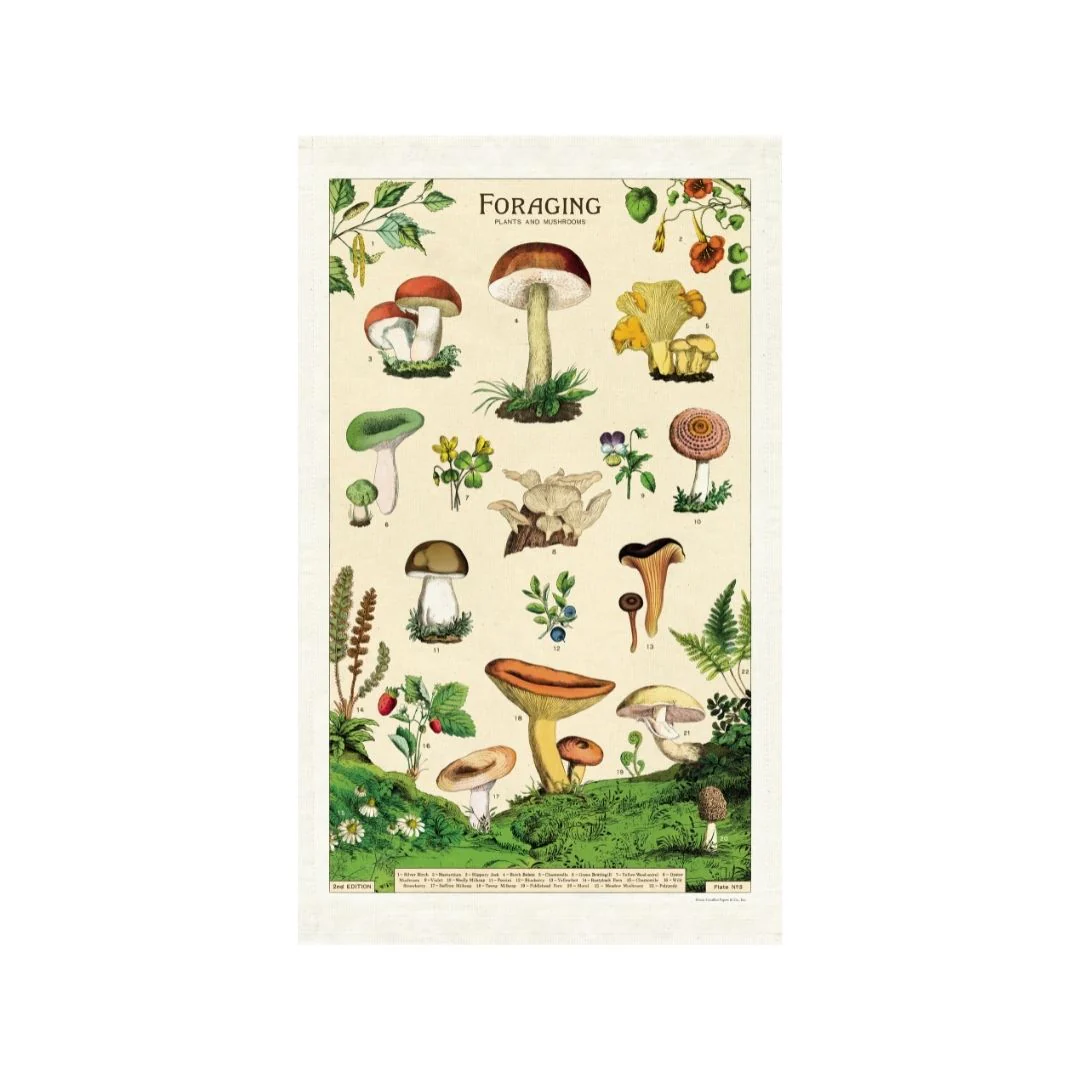 Cavallini & Co. Tea Towel - Forage - Image 2