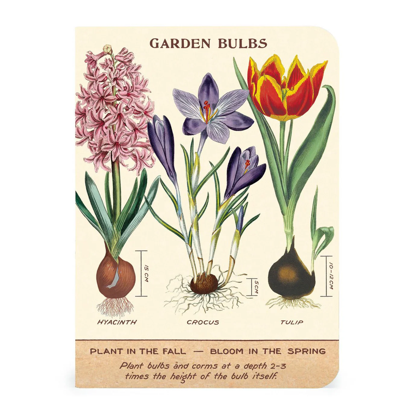 Cavallini & Co. 3 Mini Notebooks - Garden - Image 3
