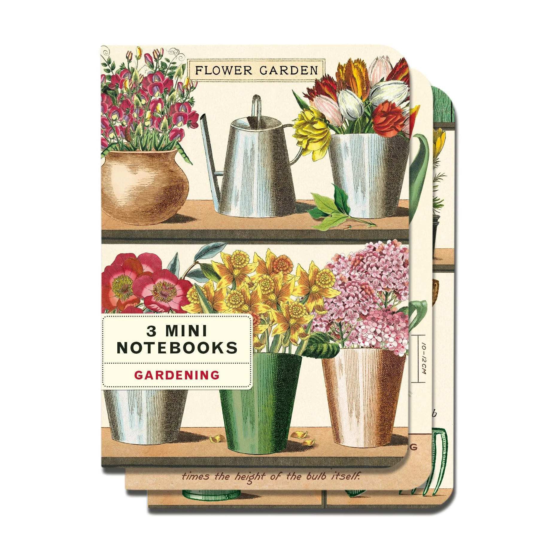 Cavallini & Co. 3 Mini Notebooks - Garden - Image 4