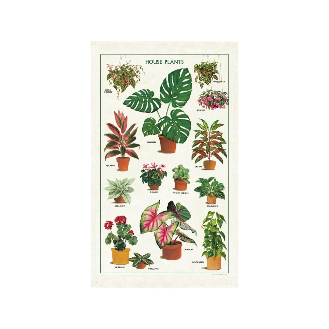Cavallini & Co. Tea Towel - House Plants - Image 2