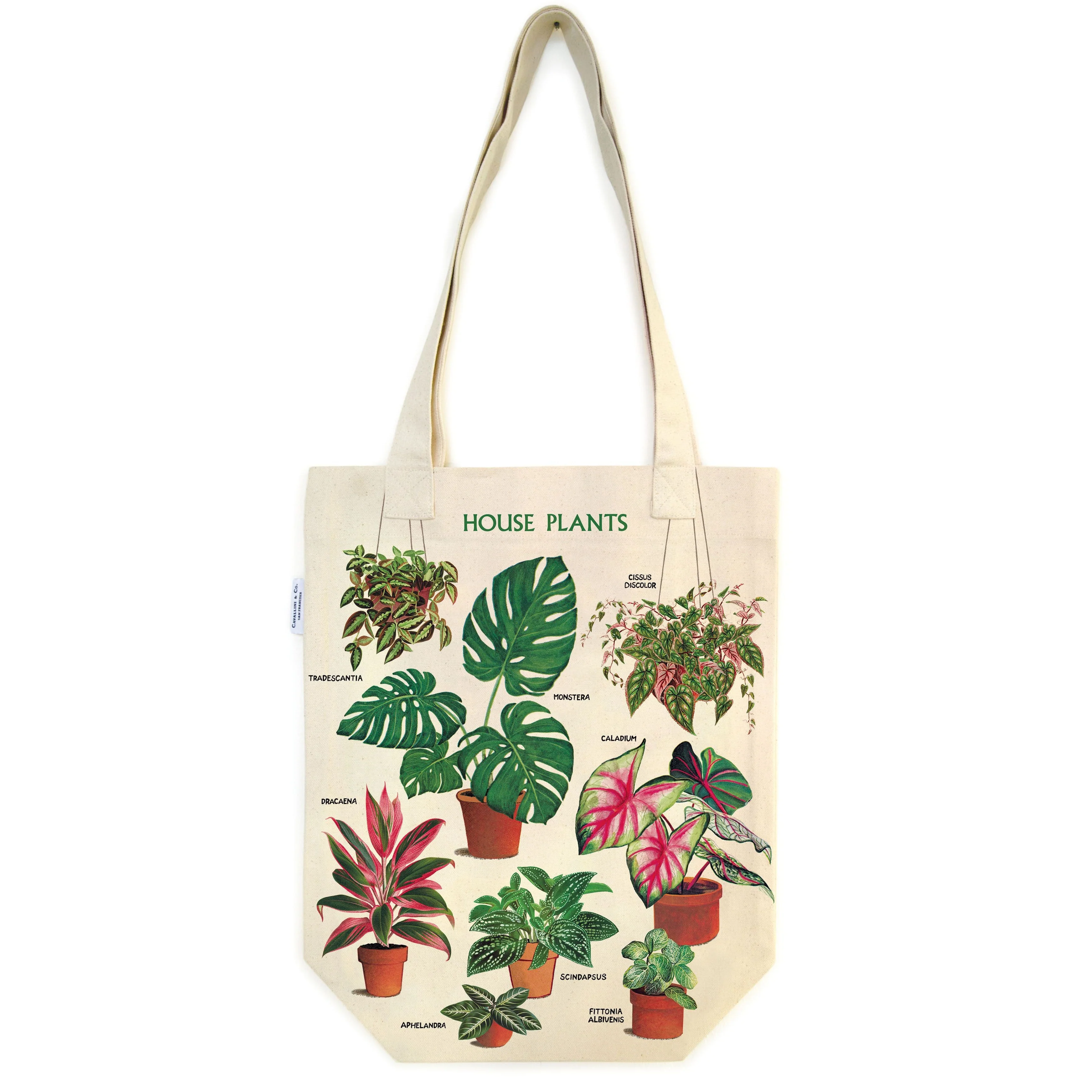 Cavallini & Co. Tote Bag - House Plants - Image 2