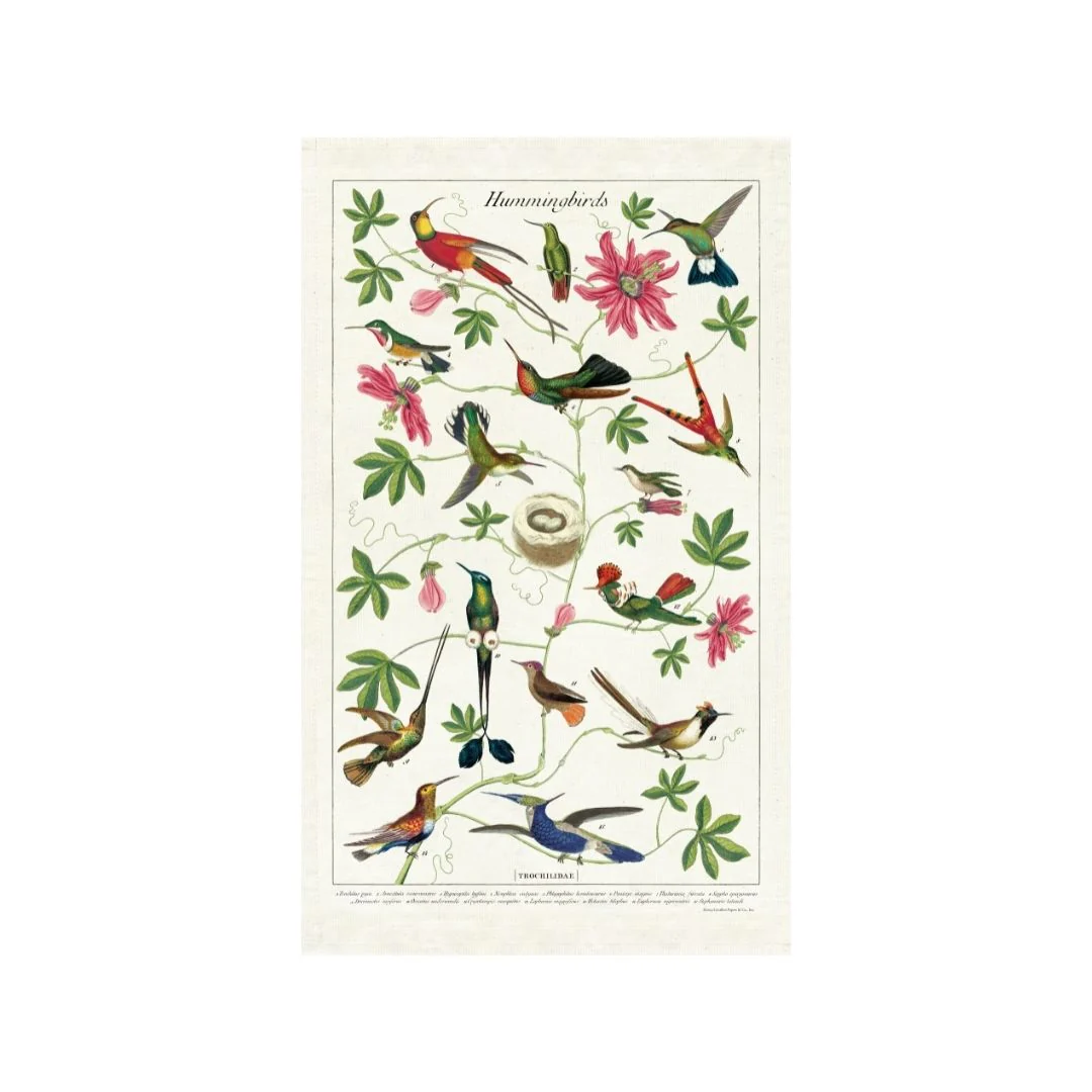 Cavallini & Co. Tea Towel - Hummingbird - Image 2