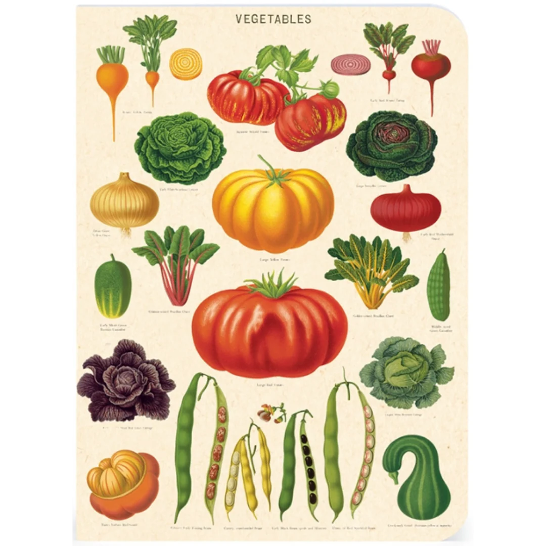 Cavallini & Co. 3 Mini Notebooks - Le Jardin - Image 3