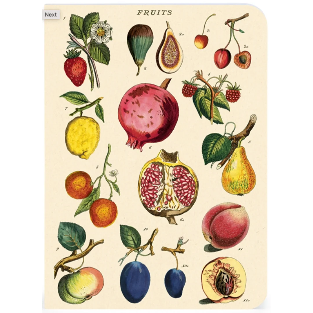 Cavallini & Co. 3 Mini Notebooks - Le Jardin - Image 4