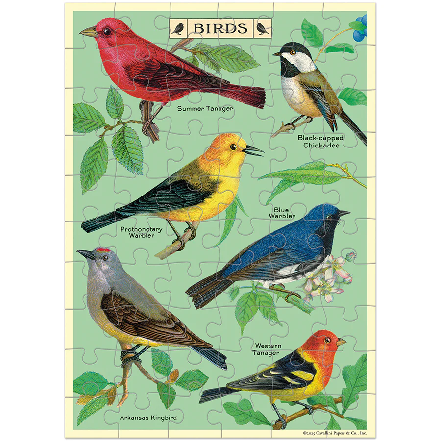 Cavallini & Co. Puzzle Greeting Card - Bird Watching - Image 3