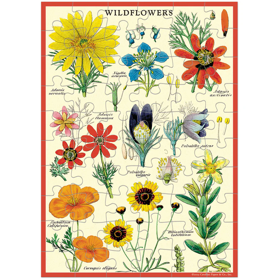 Cavallini & Co. Puzzle Greeting Card - Wildflowers - Image 3