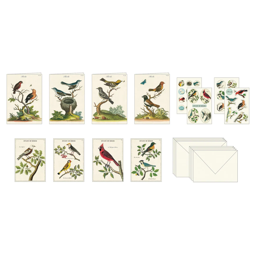Cavallini & Co. Stationery Set - Birds - Image 4