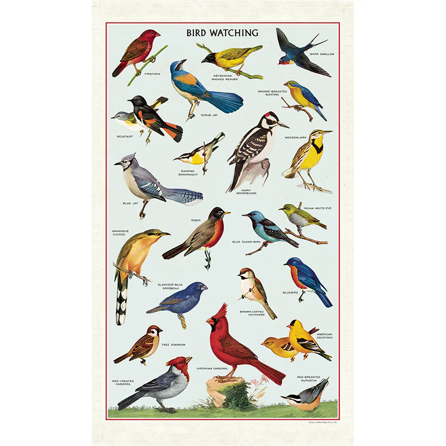 Cavallini & Co. Tea Towel - Bird Watching - Image 2