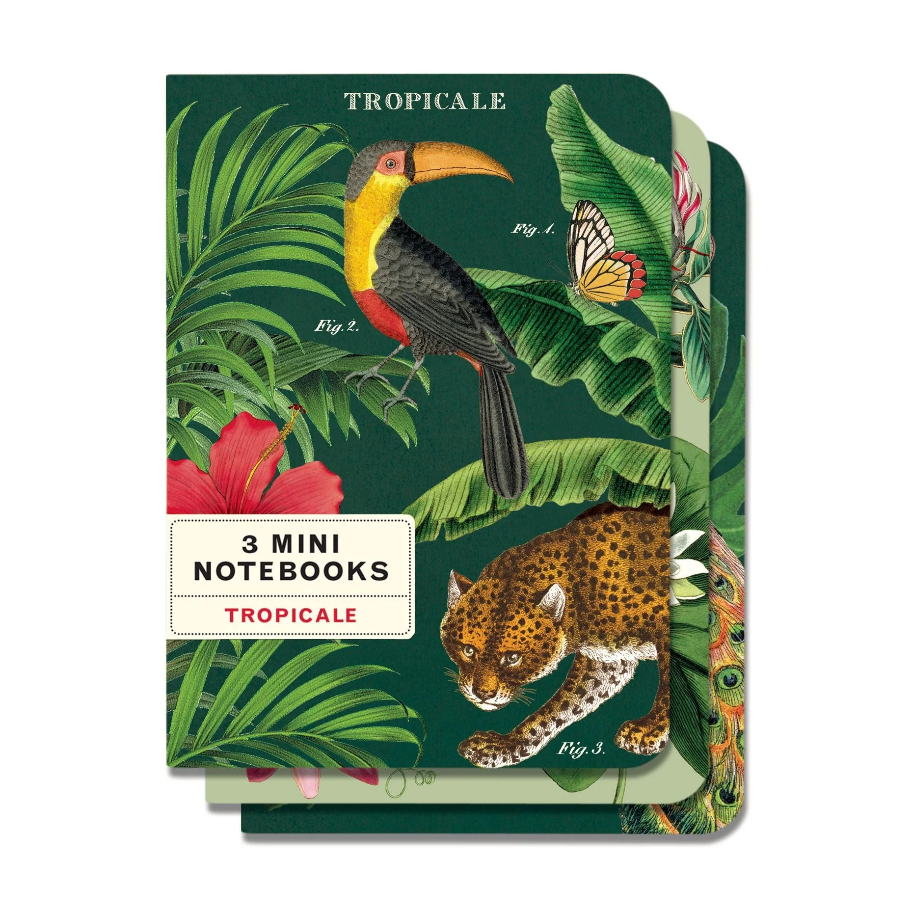 Cavallini & Co. 3 Mini Notebooks - Tropicale