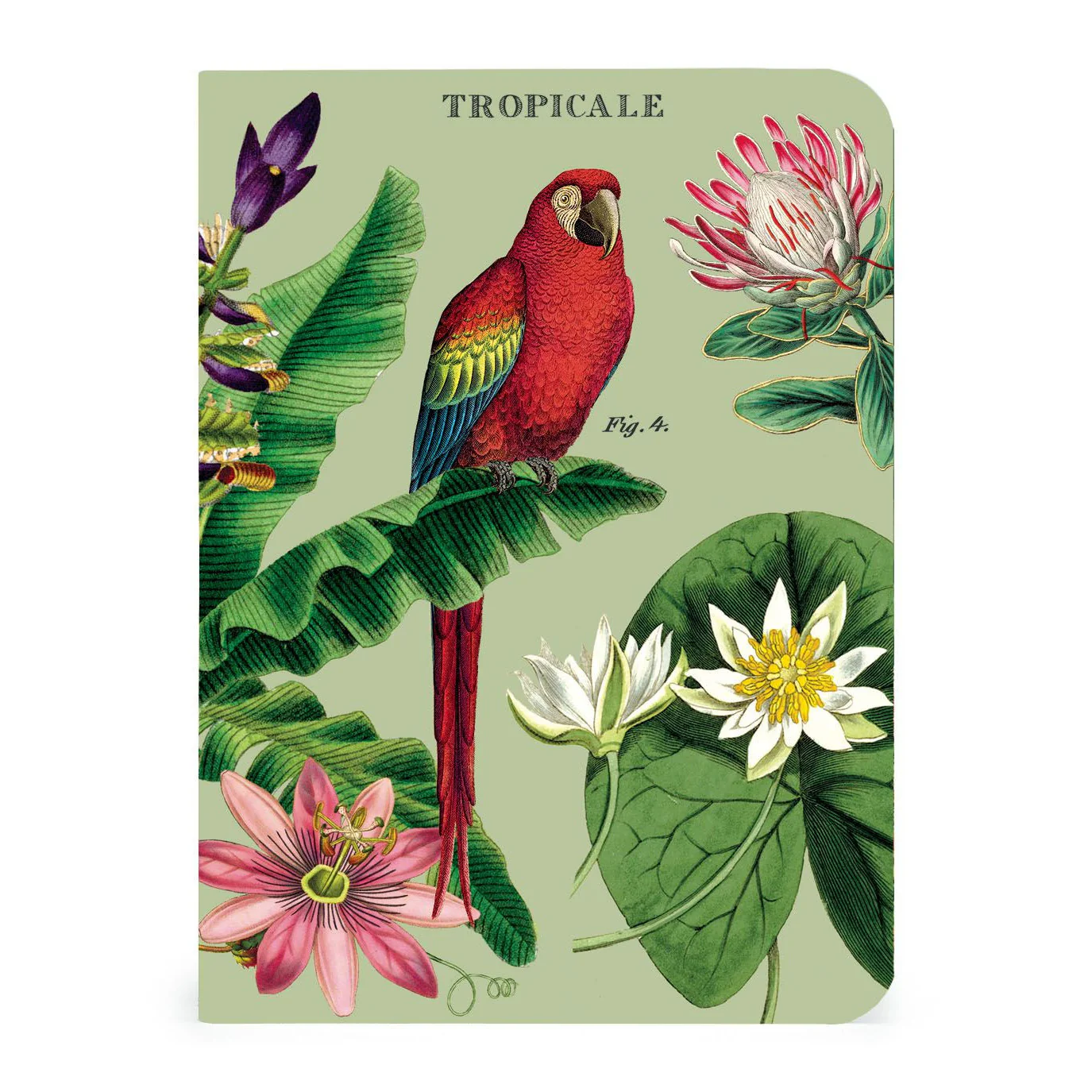 Cavallini & Co. 3 Mini Notebooks - Tropicale - Image 2