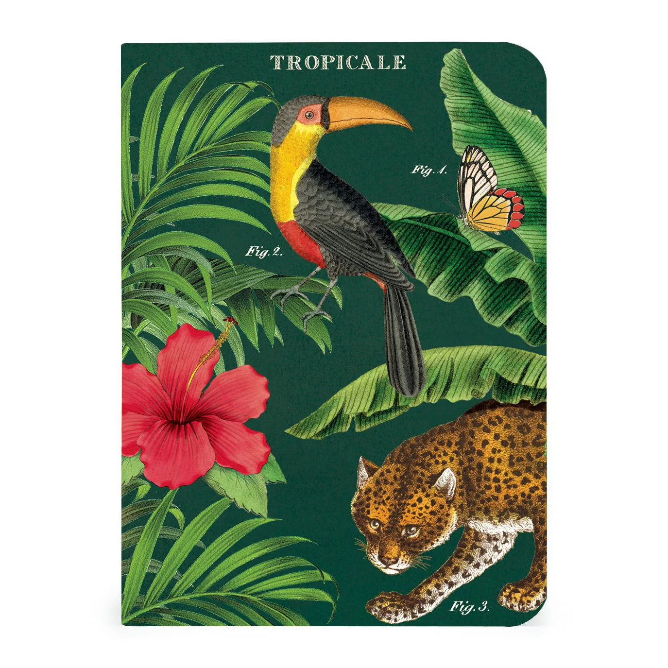 Cavallini & Co. 3 Mini Notebooks - Tropicale - Image 3