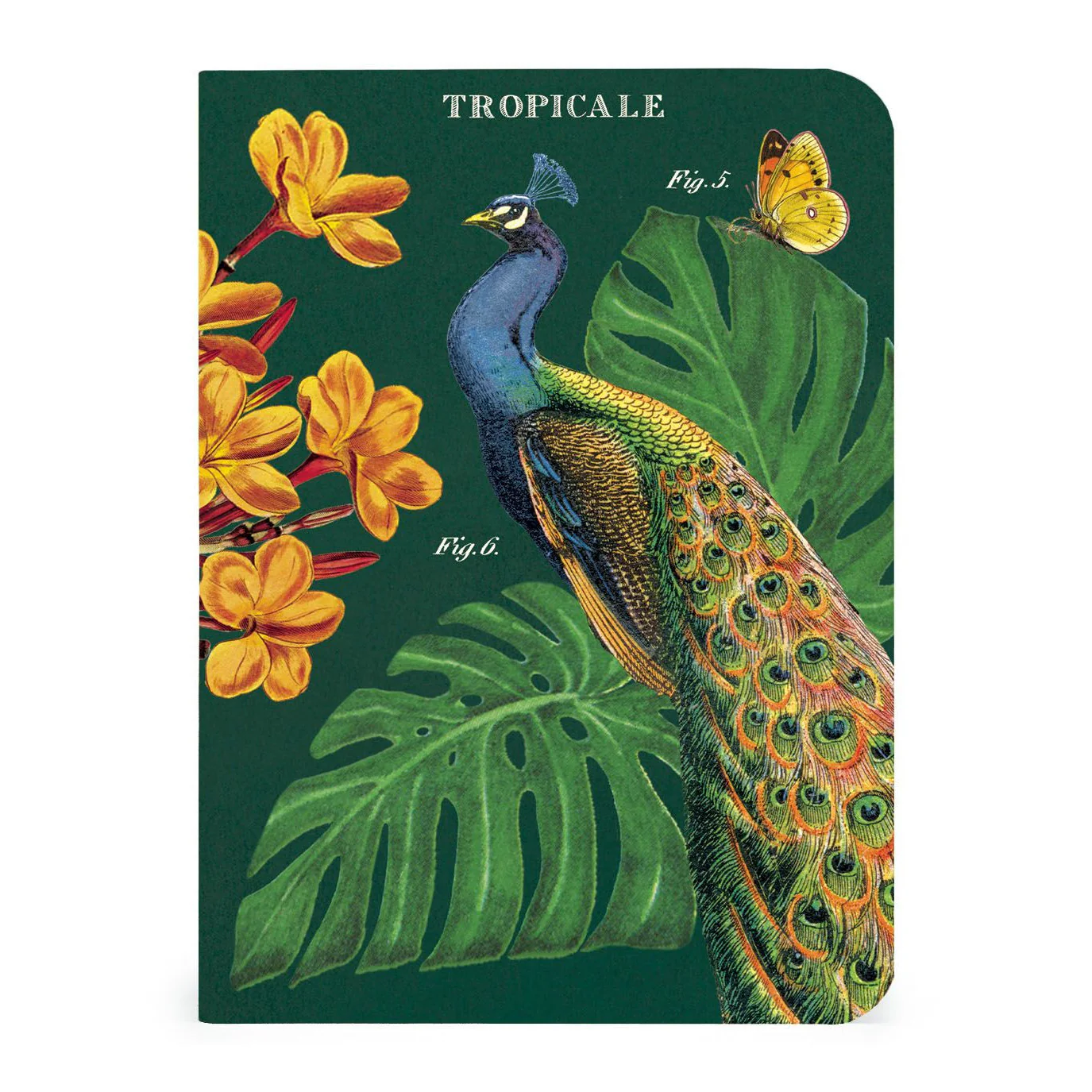 Cavallini & Co. 3 Mini Notebooks - Tropicale - Image 4