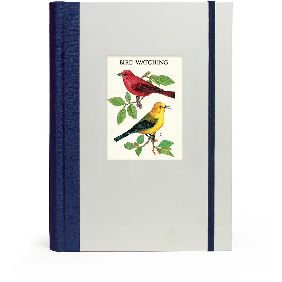 *Coming Soon Spring 2026* Cavallini & Co. Window Journal- Birdwatching