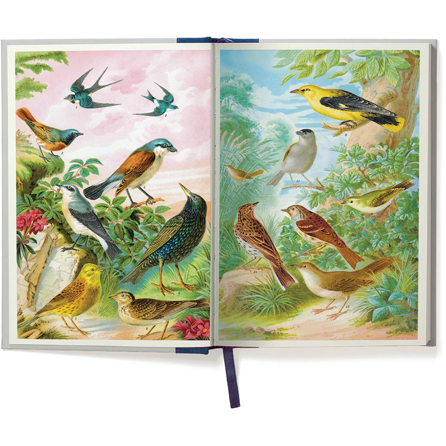 *Coming Soon Spring 2026* Cavallini & Co. Window Journal- Birdwatching - Image 3