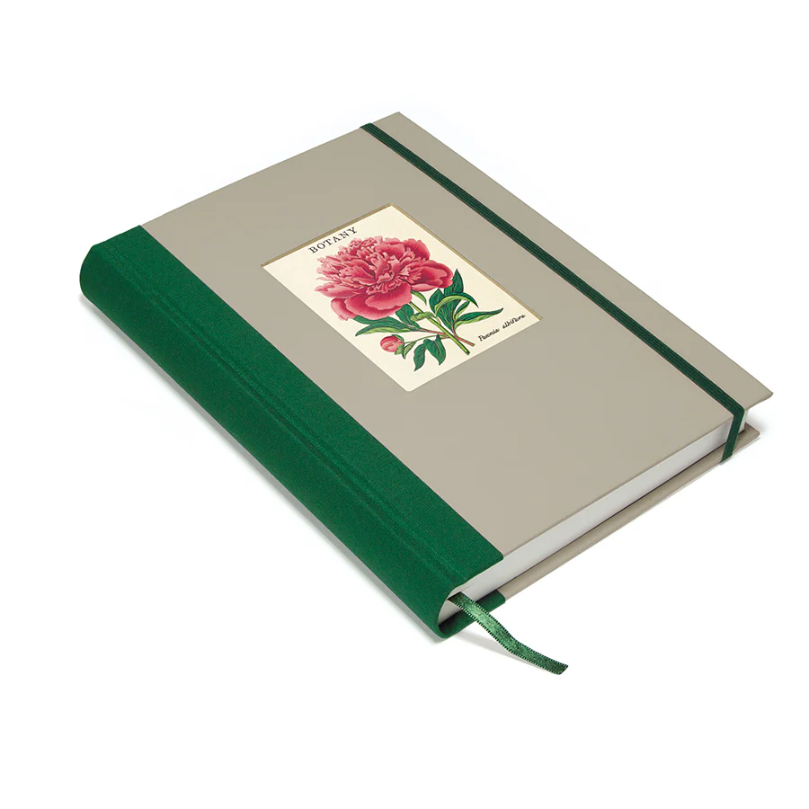 *Coming Soon Spring 2026* Cavallini & Co. Window Journal- Botany - Image 2
