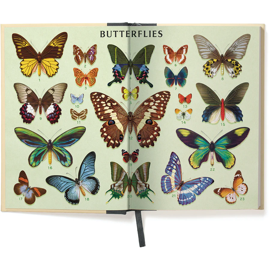 *Coming Soon Spring 2026* Cavallini & Co. Window Journal- Butterflies - Image 3