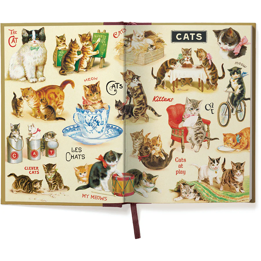 *Coming Soon Spring 2026* Cavallini & Co. Window Journal- Cat - Image 3