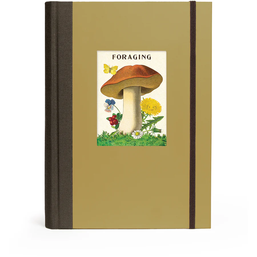 *Coming Soon Spring 2026* Cavallini & Co. Window Journal- Foraging