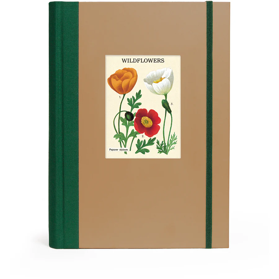 *Coming Soon Spring 2026* Cavallini & Co. Window Journal- Wildflowers
