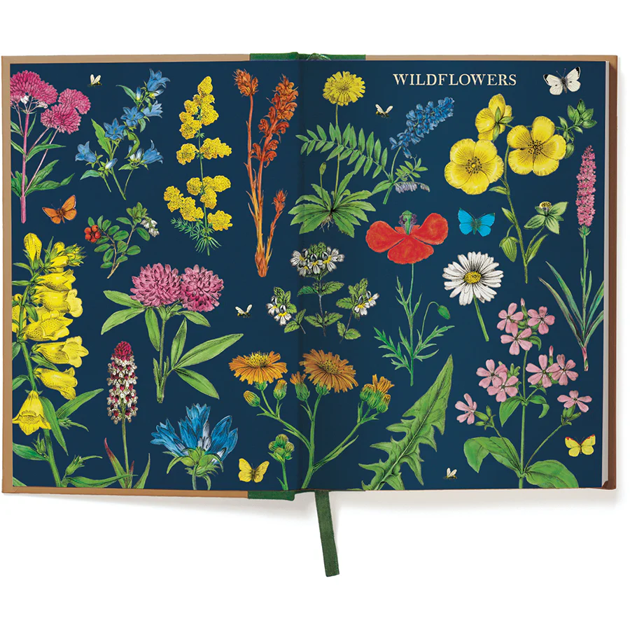 *Coming Soon Spring 2026* Cavallini & Co. Window Journal- Wildflowers - Image 3