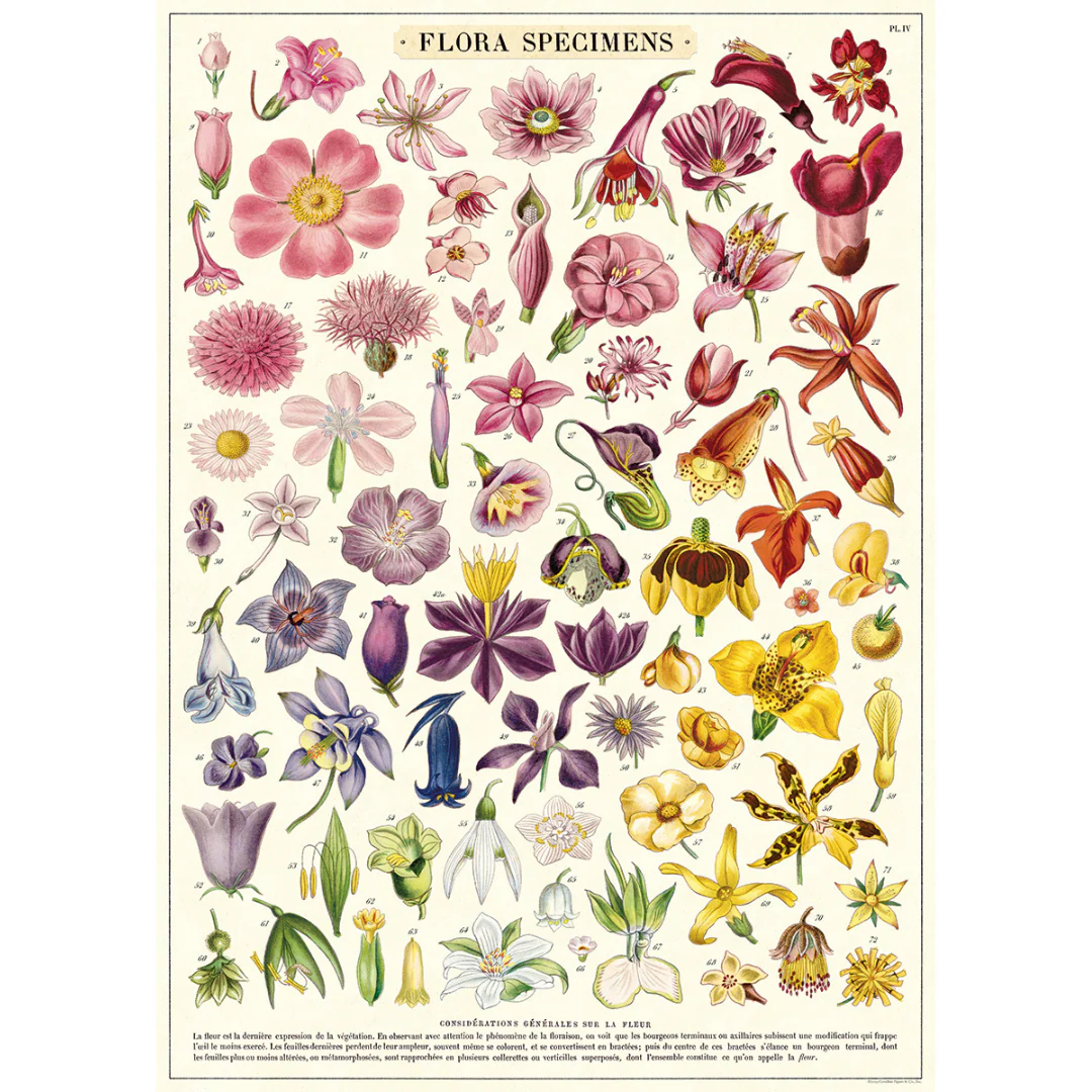 Cavallini & Co. Wrap - Flora Specimens