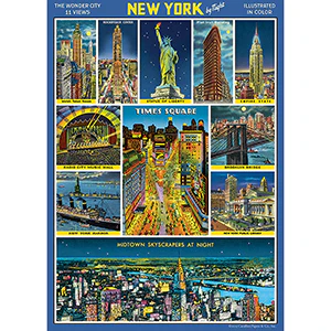 Cavallini & Co. Wrap - New York City by Night