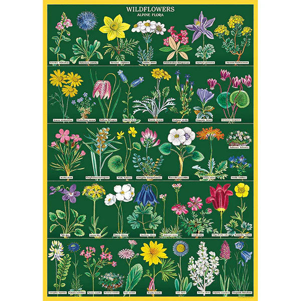 Cavallini & Co. Wrap - Wildflowers 2